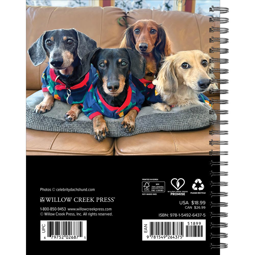 Crusoe the Celebrity Dachshund 2027 Engagement Calendar