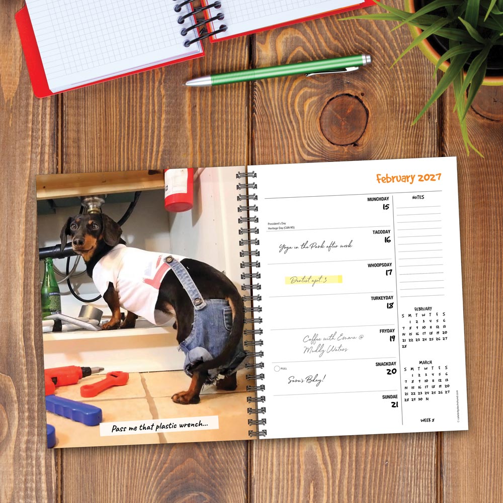 Crusoe the Celebrity Dachshund 2027 Engagement Calendar