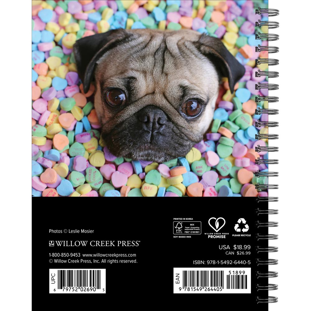 Doug the Pug 2027 Engagement Calendar