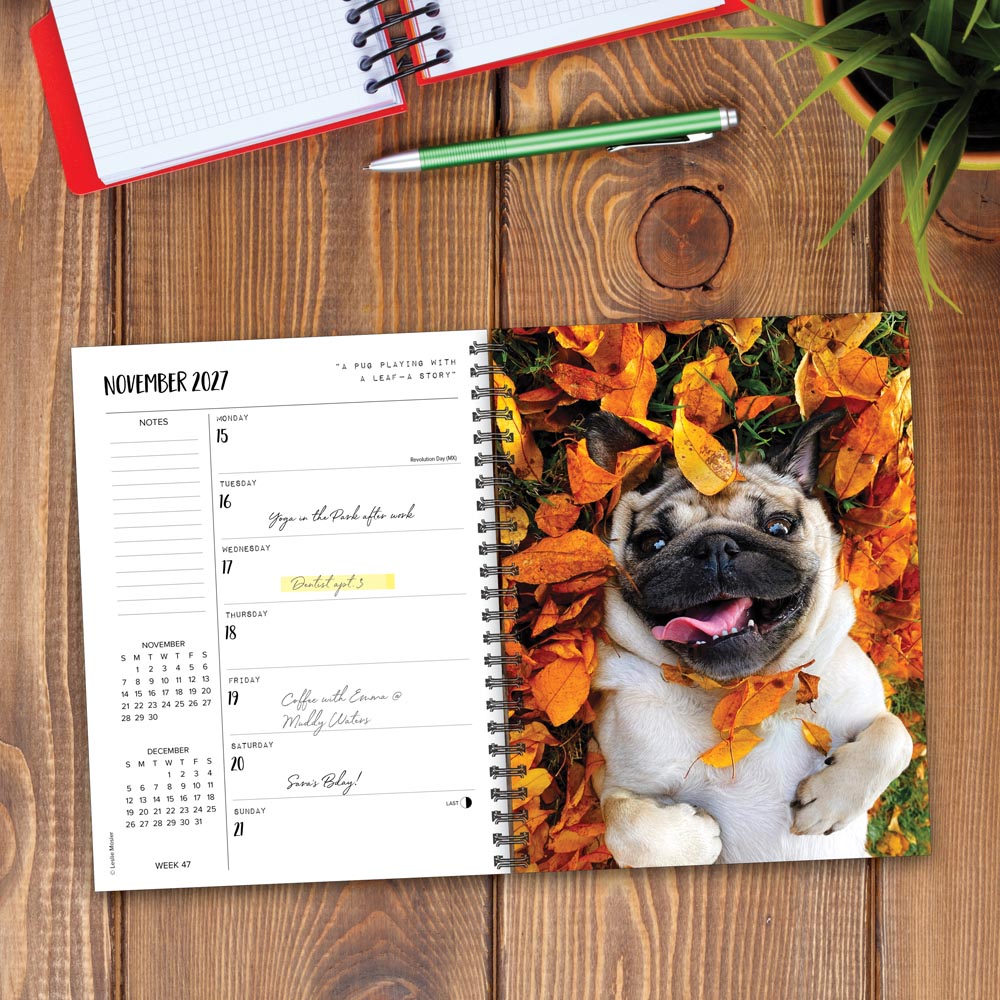 Doug the Pug 2027 Engagement Calendar
