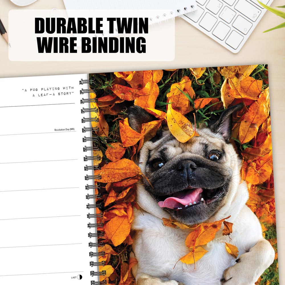 Doug the Pug 2027 Engagement Calendar