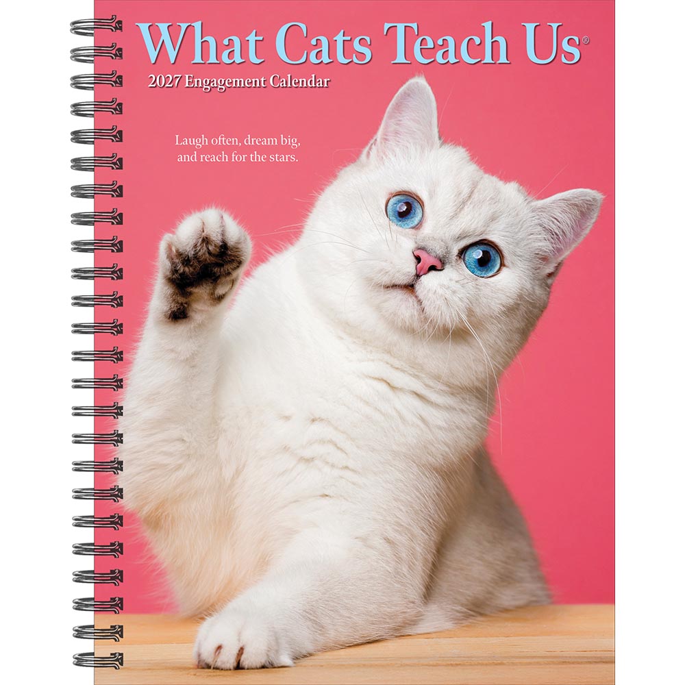 What Cats Teach Us 2027 Engagement Calendar