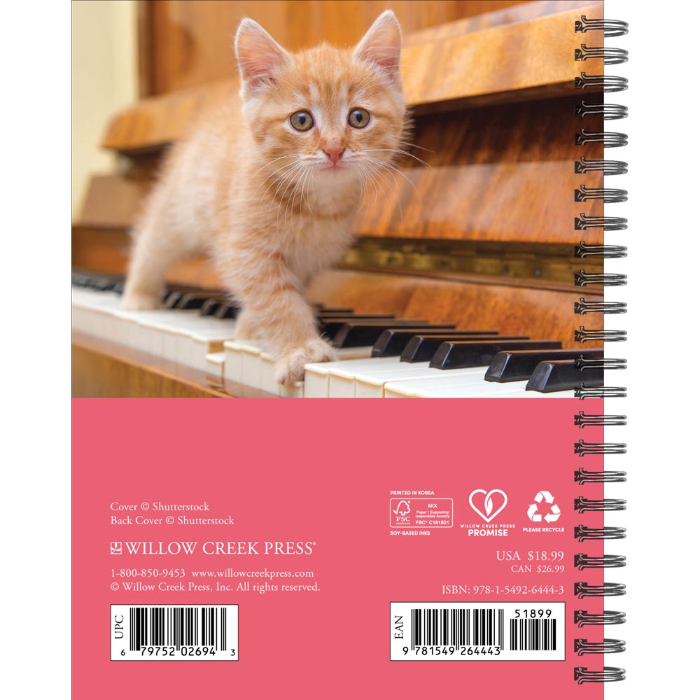 What Cats Teach Us 2027 Engagement Calendar
