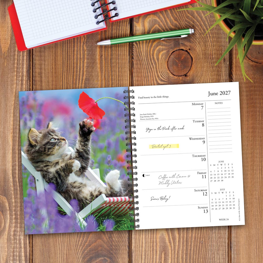 What Cats Teach Us 2027 Engagement Calendar
