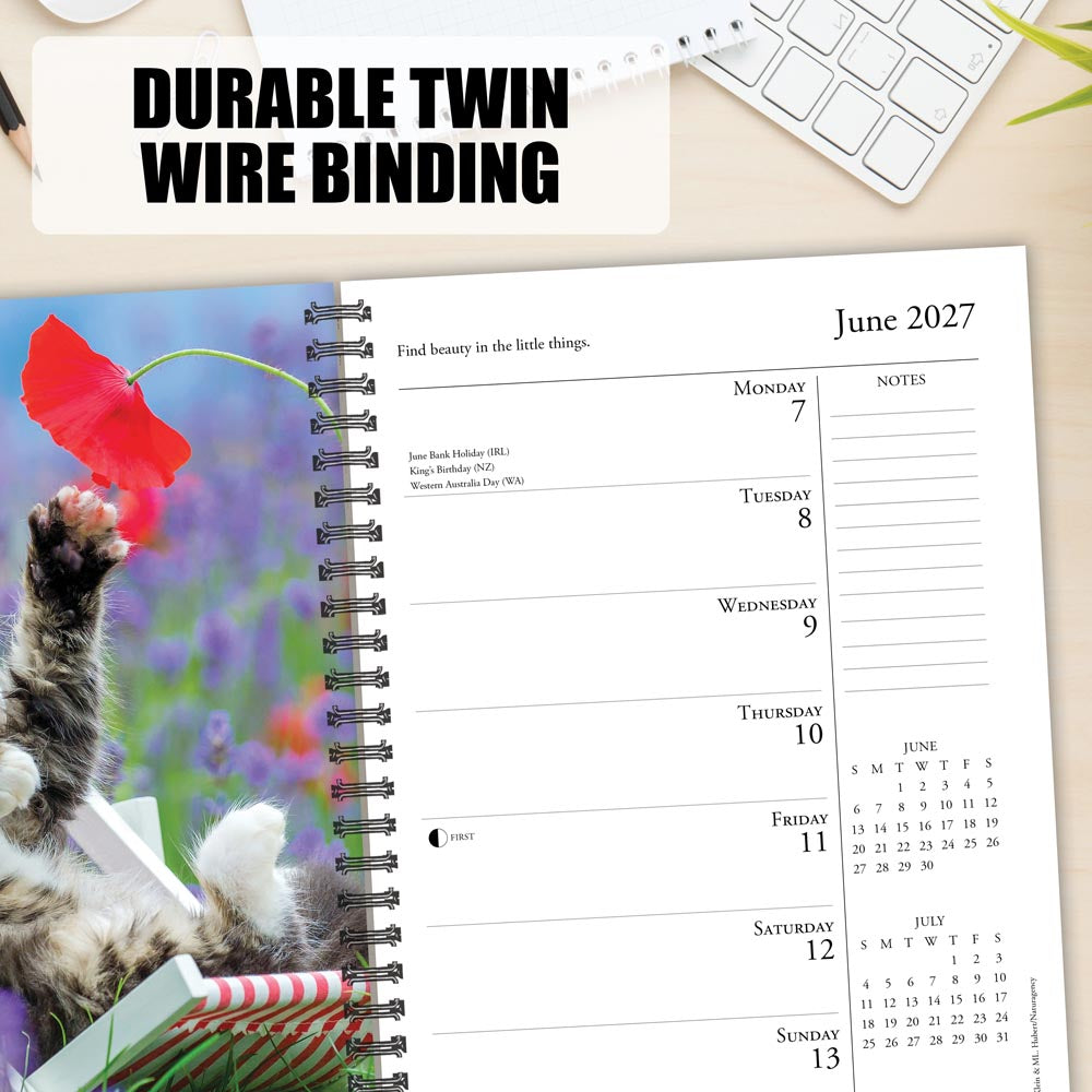 What Cats Teach Us 2027 Engagement Calendar