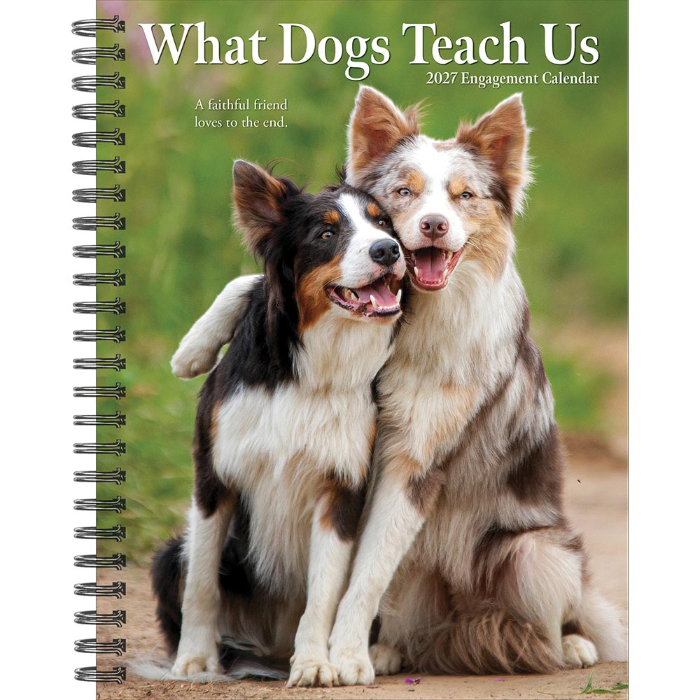 What Dogs Teach Us 2027 Engagement Calendar
