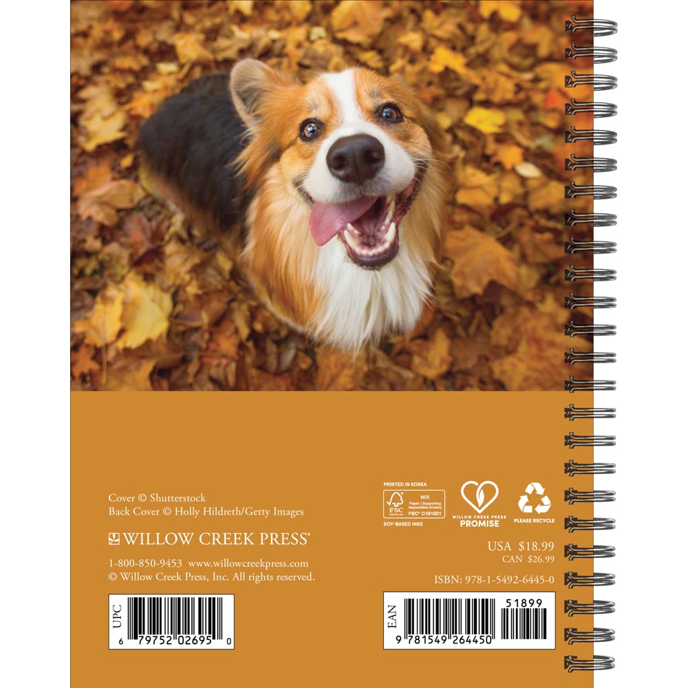 What Dogs Teach Us 2027 Engagement Calendar