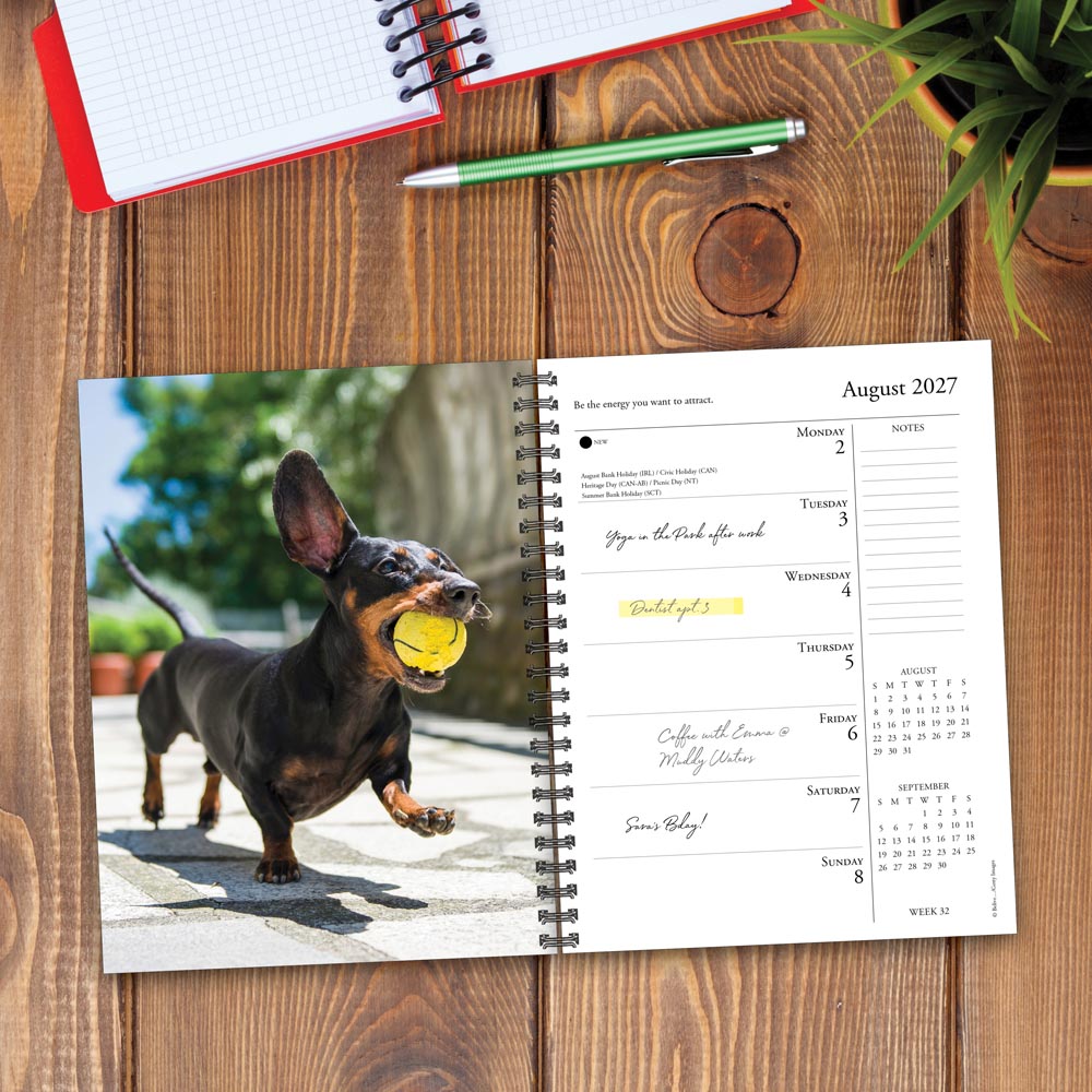 What Dogs Teach Us 2027 Engagement Calendar