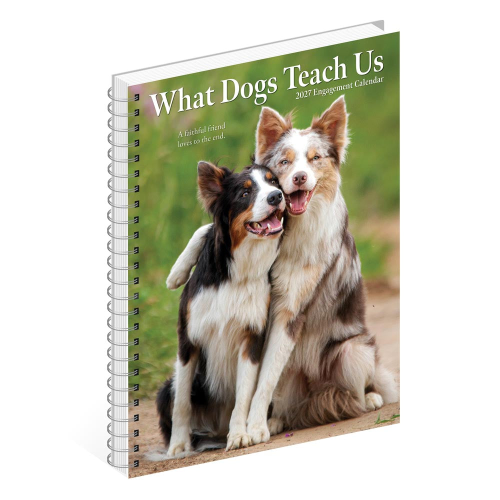 What Dogs Teach Us 2027 Engagement Calendar