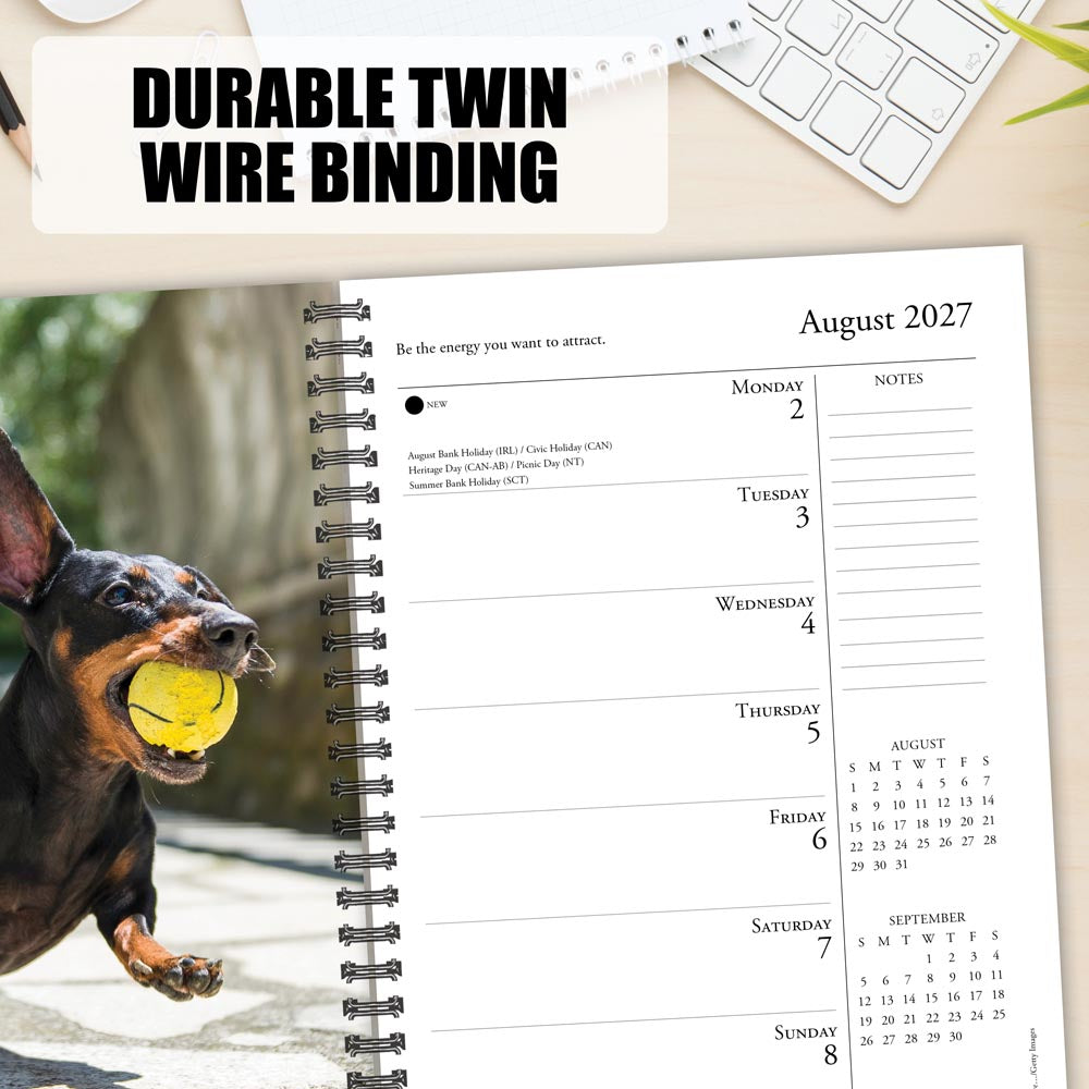 What Dogs Teach Us 2027 Engagement Calendar