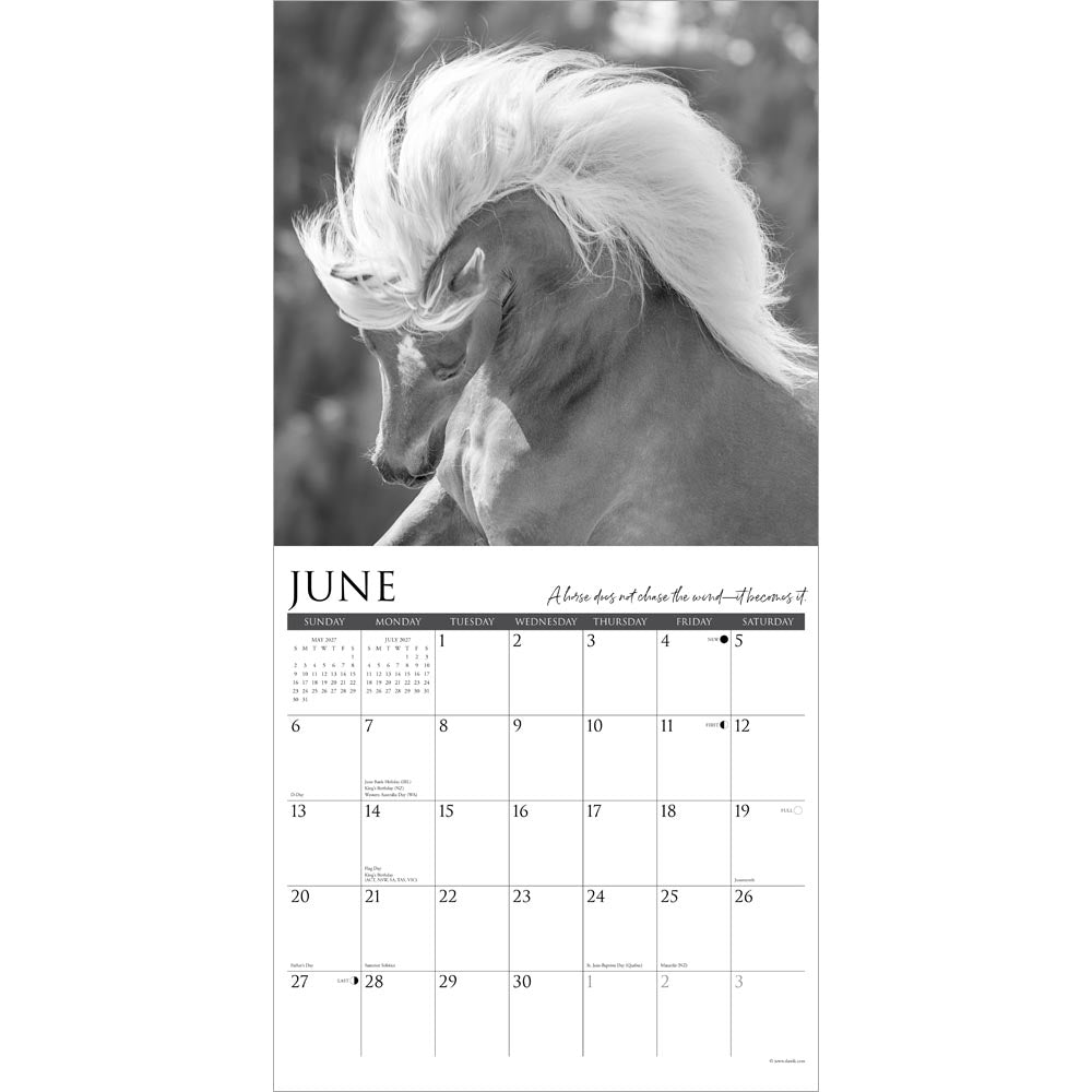 Spirit of the Horse 2027 Wall Calendar