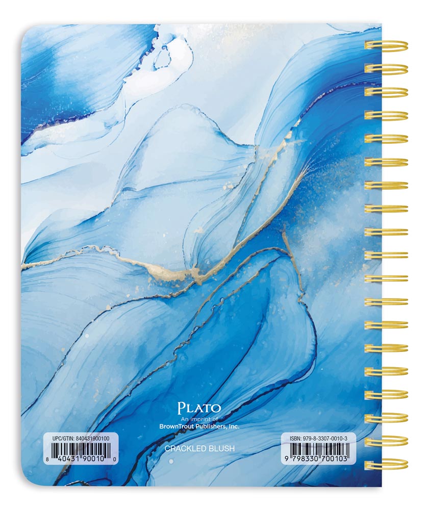 Crackled Blush | 2026 6 x 7.75 Inch 18 Months Weekly Desk Planner | Foil Stamped Cover | July 2025 - December 2026