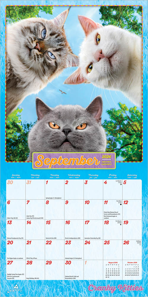 Avanti Cranky Kitties OFFICIAL | 2026 7 x 14 Inch (Hanging) Monthly Mini Wall Calendar
