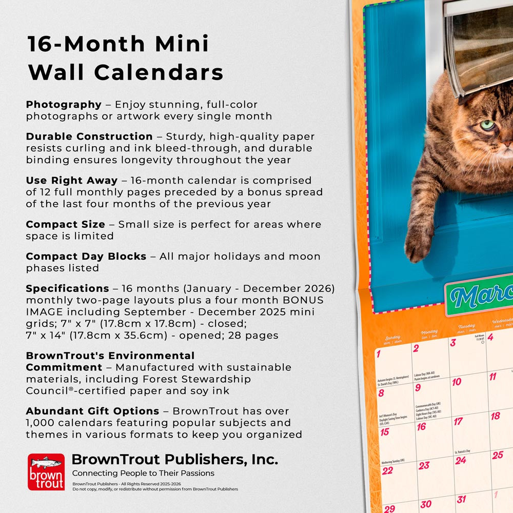 Avanti Cranky Kitties OFFICIAL | 2026 7 x 14 Inch (Hanging) Monthly Mini Wall Calendar