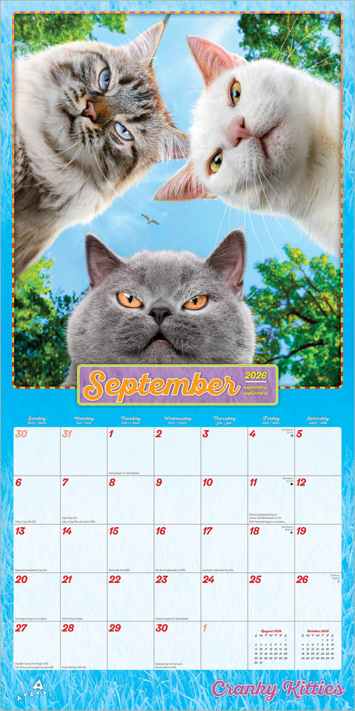Avanti Cranky Kitties OFFICIAL | 2026 12 x 24 Inch (Hanging) Monthly Square Wall Calendar | Foil Stamped Cover