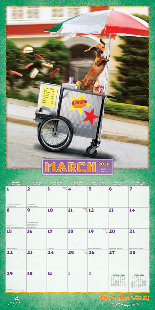 Avanti Dogs Gone Wild OFFICIAL | 2026 12 x 24 Inch (Hanging) Monthly Square Wall Calendar