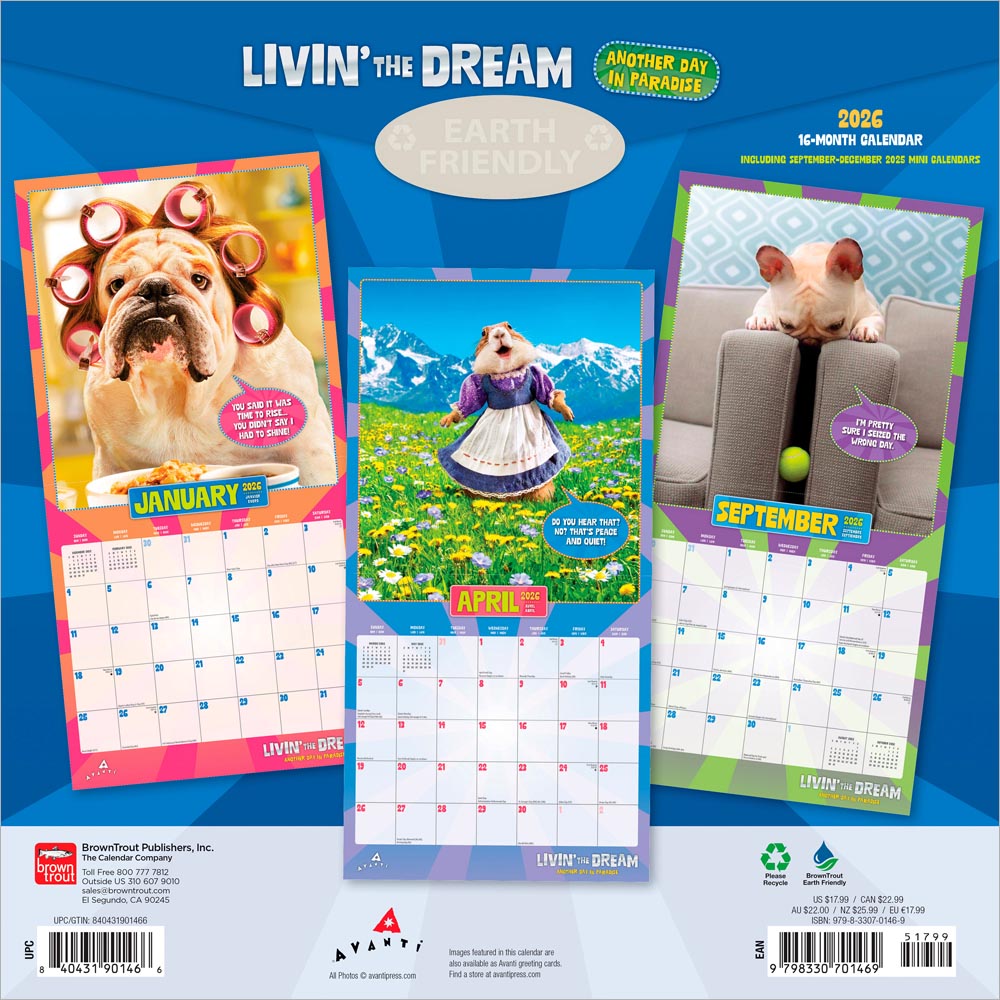 Avanti Livin' the Dream OFFICIAL | 2026 12 x 24 Inch (Hanging) Monthly Square Wall Calendar | Foil Stamped Cover