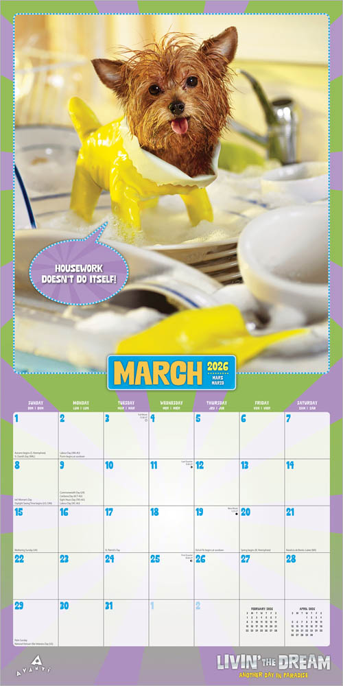 Avanti Livin' the Dream OFFICIAL | 2026 12 x 24 Inch (Hanging) Monthly Square Wall Calendar | Foil Stamped Cover