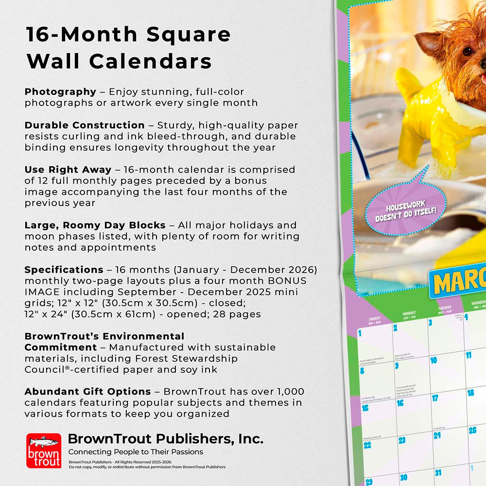 Avanti Livin' the Dream OFFICIAL | 2026 12 x 24 Inch (Hanging) Monthly Square Wall Calendar | Foil Stamped Cover