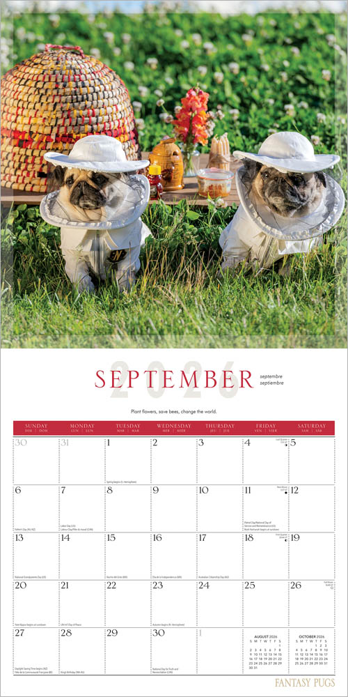 Fantasy Pugs OFFICIAL | 2026 12 x 24 Inch (Hanging) Monthly Square Wall Calendar | Foil Stamped Cover