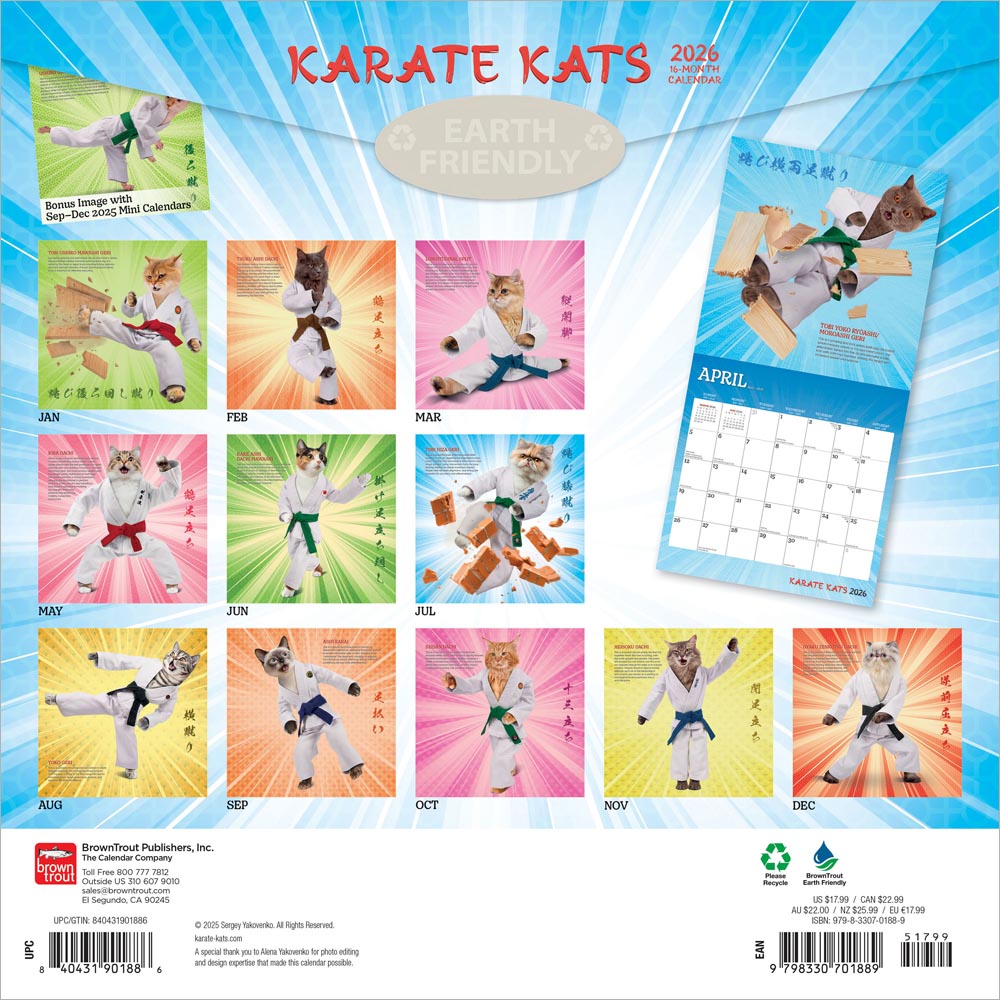 Karate Cats OFFICIAL | 2026 12 x 24 Inch (Hanging) Monthly Square Wall Calendar