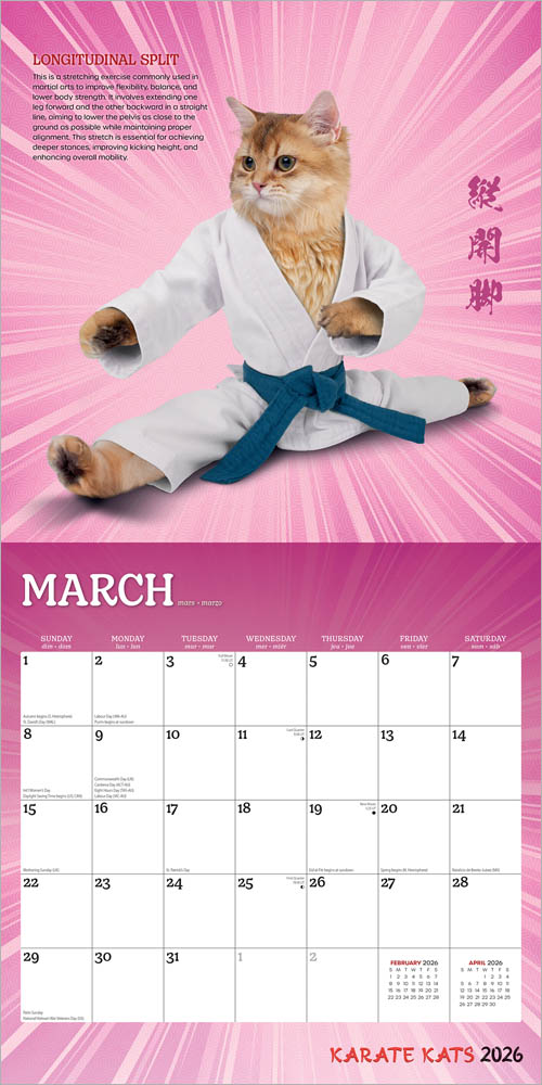 Karate Cats OFFICIAL | 2026 12 x 24 Inch (Hanging) Monthly Square Wall Calendar