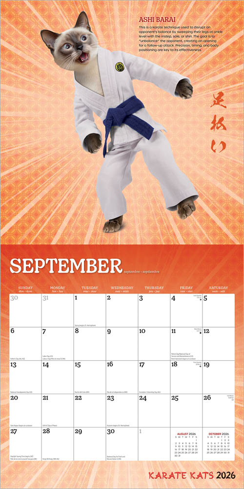 Karate Cats OFFICIAL | 2026 12 x 24 Inch (Hanging) Monthly Square Wall Calendar