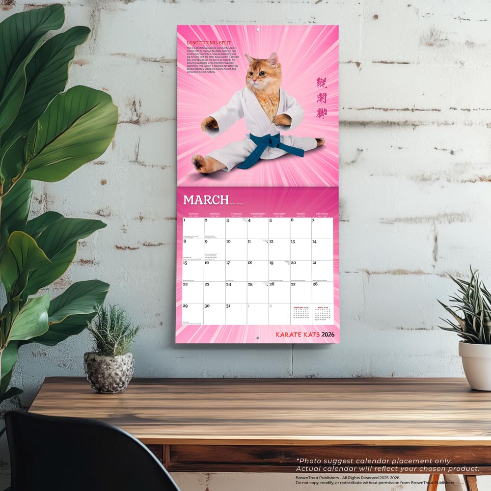 Karate Cats OFFICIAL | 2026 12 x 24 Inch (Hanging) Monthly Square Wall Calendar
