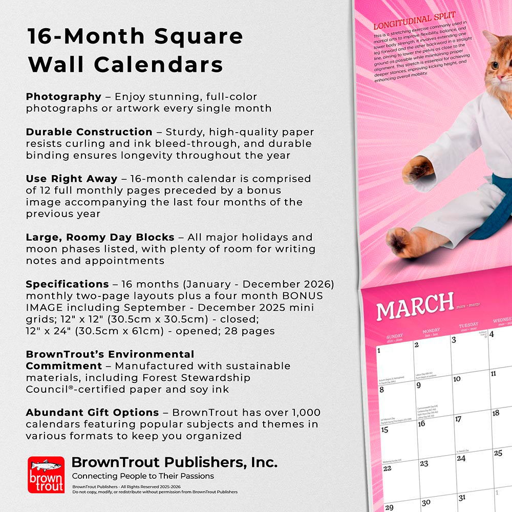 Karate Cats OFFICIAL | 2026 12 x 24 Inch (Hanging) Monthly Square Wall Calendar