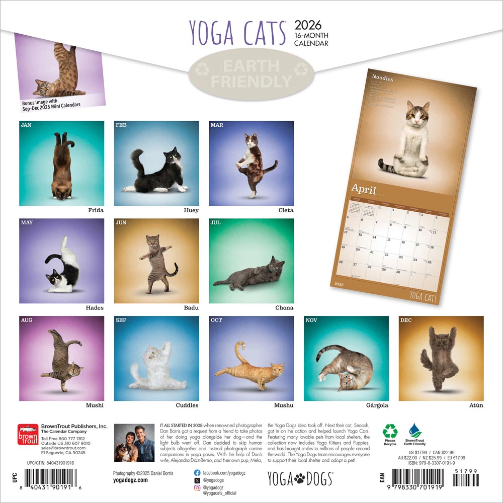 Yoga Cats OFFICIAL | 2026 12 x 24 Inch (Hanging) Monthly Square Wall Calendar