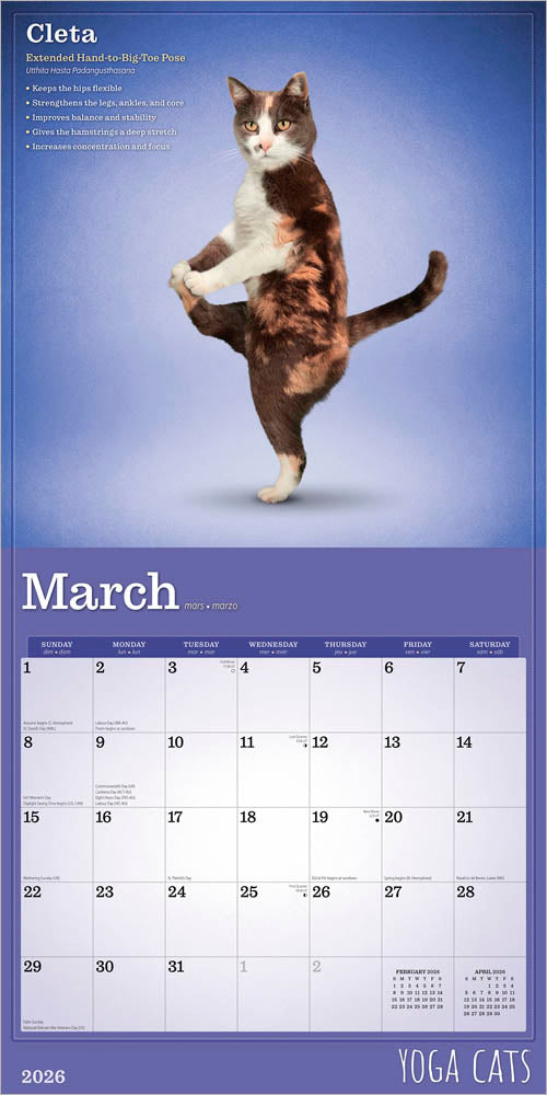 Yoga Cats OFFICIAL | 2026 12 x 24 Inch (Hanging) Monthly Square Wall Calendar