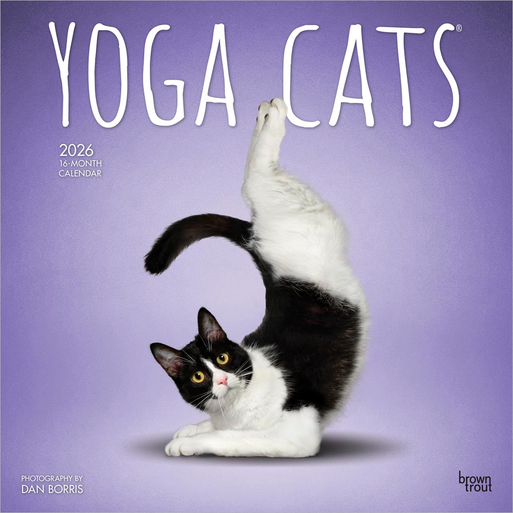 Yoga Cats OFFICIAL | 2026 12 x 24 Inch (Hanging) Monthly Square Wall Calendar