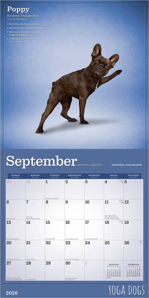 Yoga Dogs OFFICIAL | 2026 12 x 24 Inch (Hanging) Monthly Square Wall Calendar