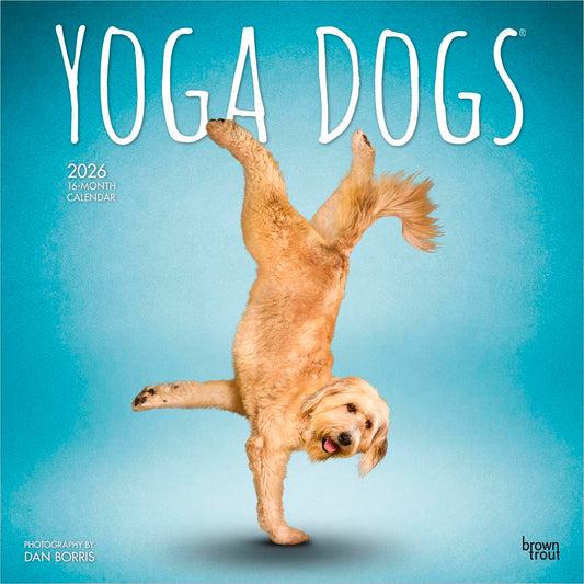 Yoga Dogs OFFICIAL | 2026 12 x 24 Inch (Hanging) Monthly Square Wall Calendar