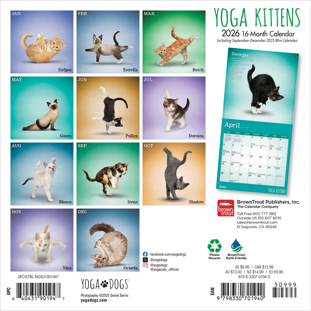 Yoga Kittens OFFICIAL | 2026 7 x 14 Inch (Hanging) Monthly Mini Wall Calendar