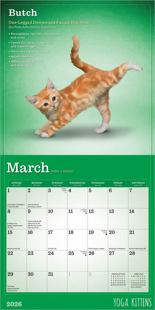 Yoga Kittens OFFICIAL | 2026 7 x 14 Inch (Hanging) Monthly Mini Wall Calendar