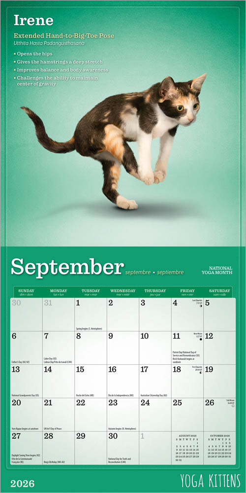 Yoga Kittens OFFICIAL | 2026 7 x 14 Inch (Hanging) Monthly Mini Wall Calendar