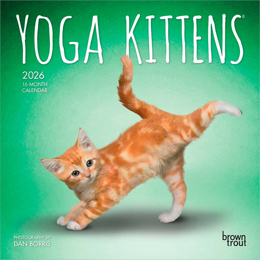 Yoga Kittens OFFICIAL | 2026 7 x 14 Inch (Hanging) Monthly Mini Wall Calendar