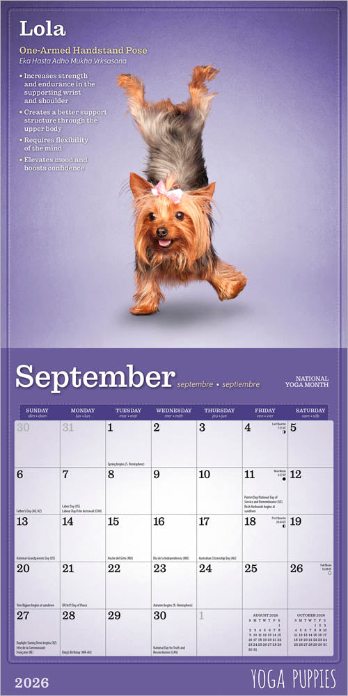 Yoga Puppies OFFICIAL | 2026 7 x 14 Inch (Hanging) Monthly Mini Wall Calendar