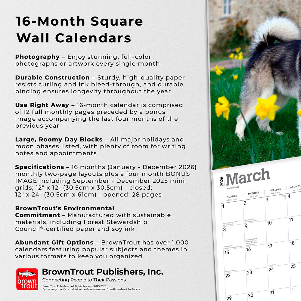 Alaskan Malamutes | 2026 12 x 24 Inch (Hanging) Monthly Square Wall Calendar