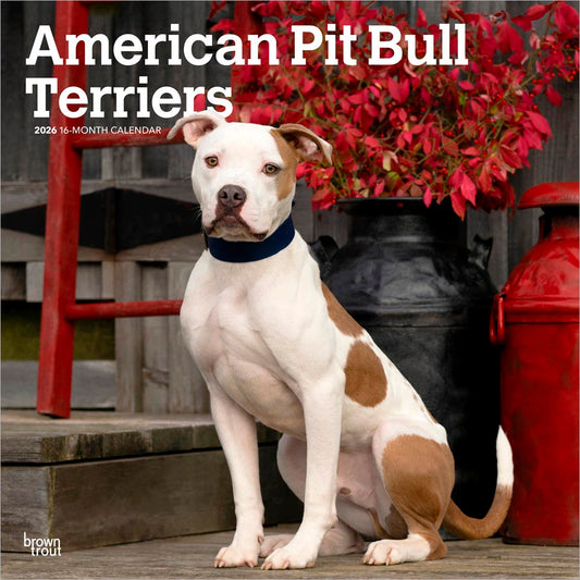 American Pit Bull Terriers | 2026 12 x 24 Inch (Hanging) Monthly Square Wall Calendar