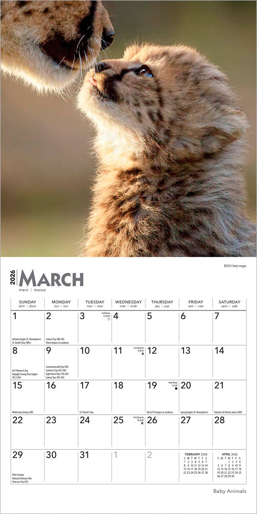 Baby Animals | 2026 7 x 14 Inch (Hanging) Monthly Mini Wall Calendar