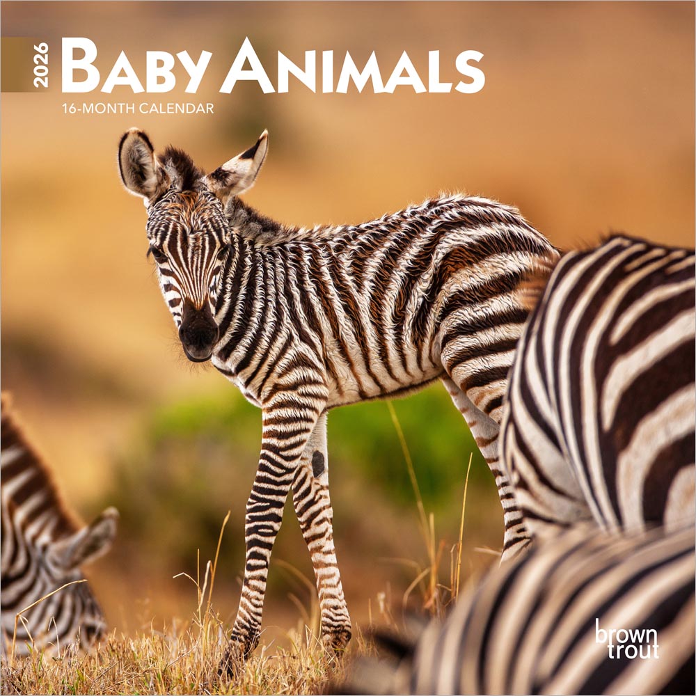 Baby Animals | 2026 7 x 14 Inch (Hanging) Monthly Mini Wall Calendar