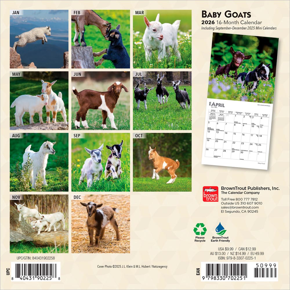 Baby Goats | 2026 7 x 14 Inch (Hanging) Monthly Mini Wall Calendar