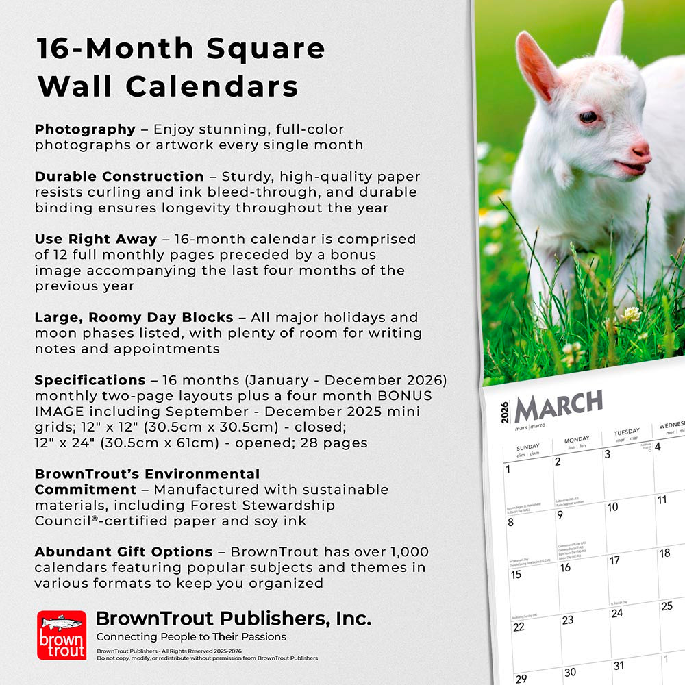 Baby Goats | 2026 12 x 24 Inch (Hanging) Monthly Square Wall Calendar