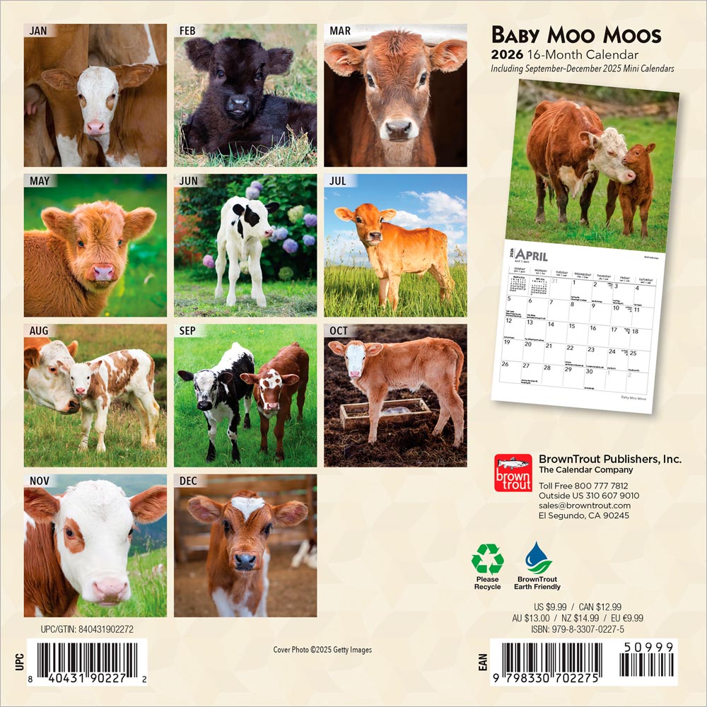 Baby Moo Moos | 2026 7 x 14 Inch (Hanging) Monthly Mini Wall Calendar