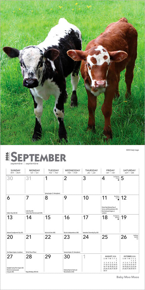Baby Moo Moos | 2026 7 x 14 Inch (Hanging) Monthly Mini Wall Calendar