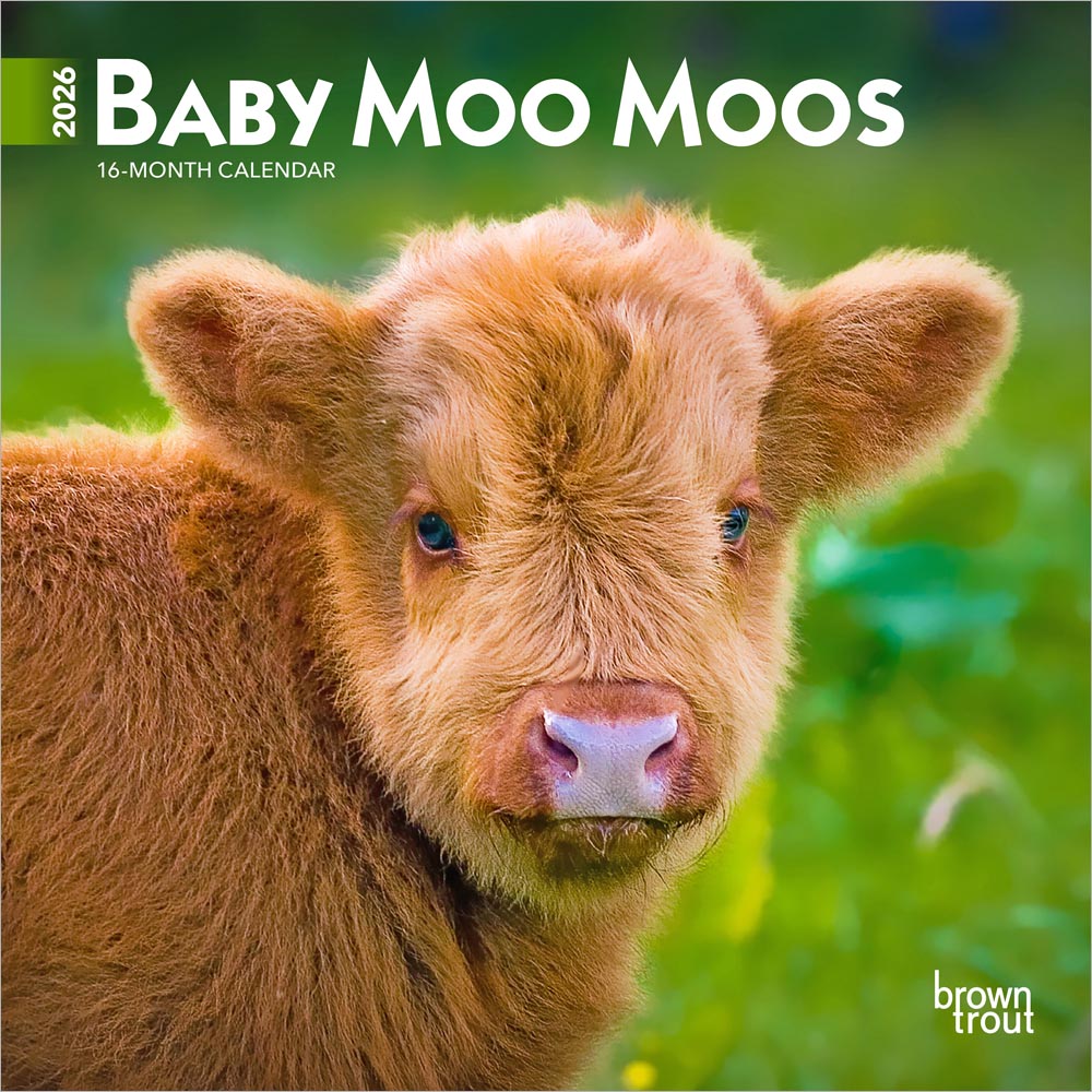 Baby Moo Moos | 2026 7 x 14 Inch (Hanging) Monthly Mini Wall Calendar