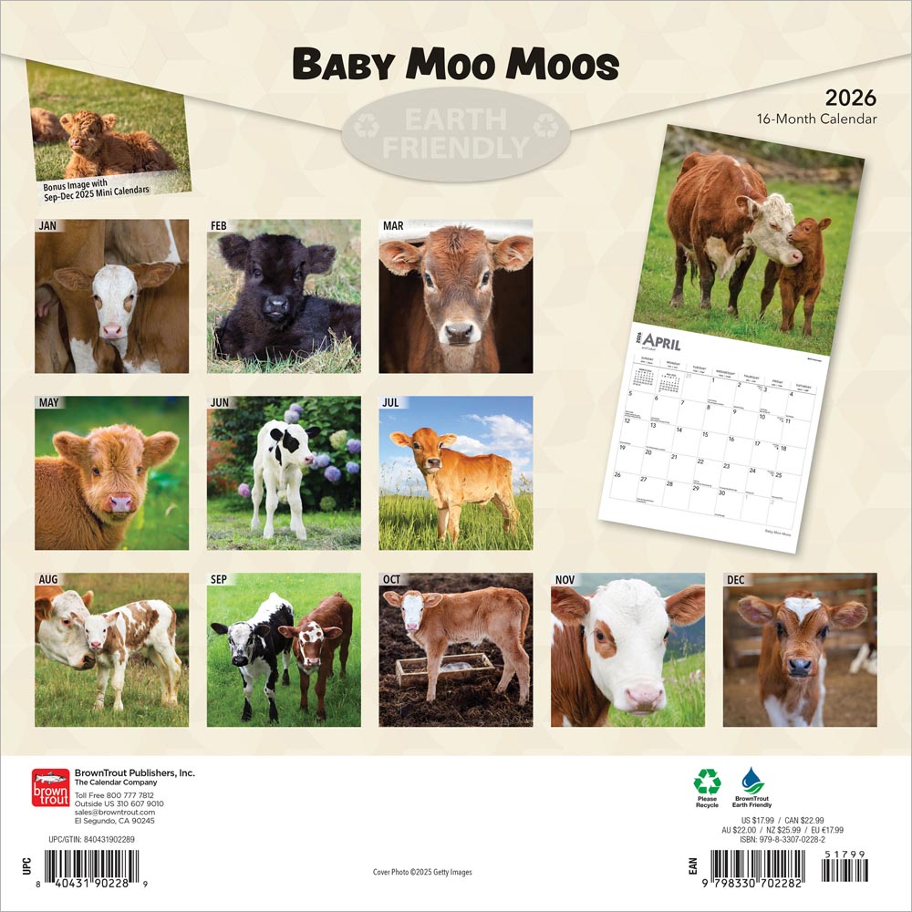 Baby Moo Moos | 2026 12 x 24 Inch (Hanging) Monthly Square Wall Calendar