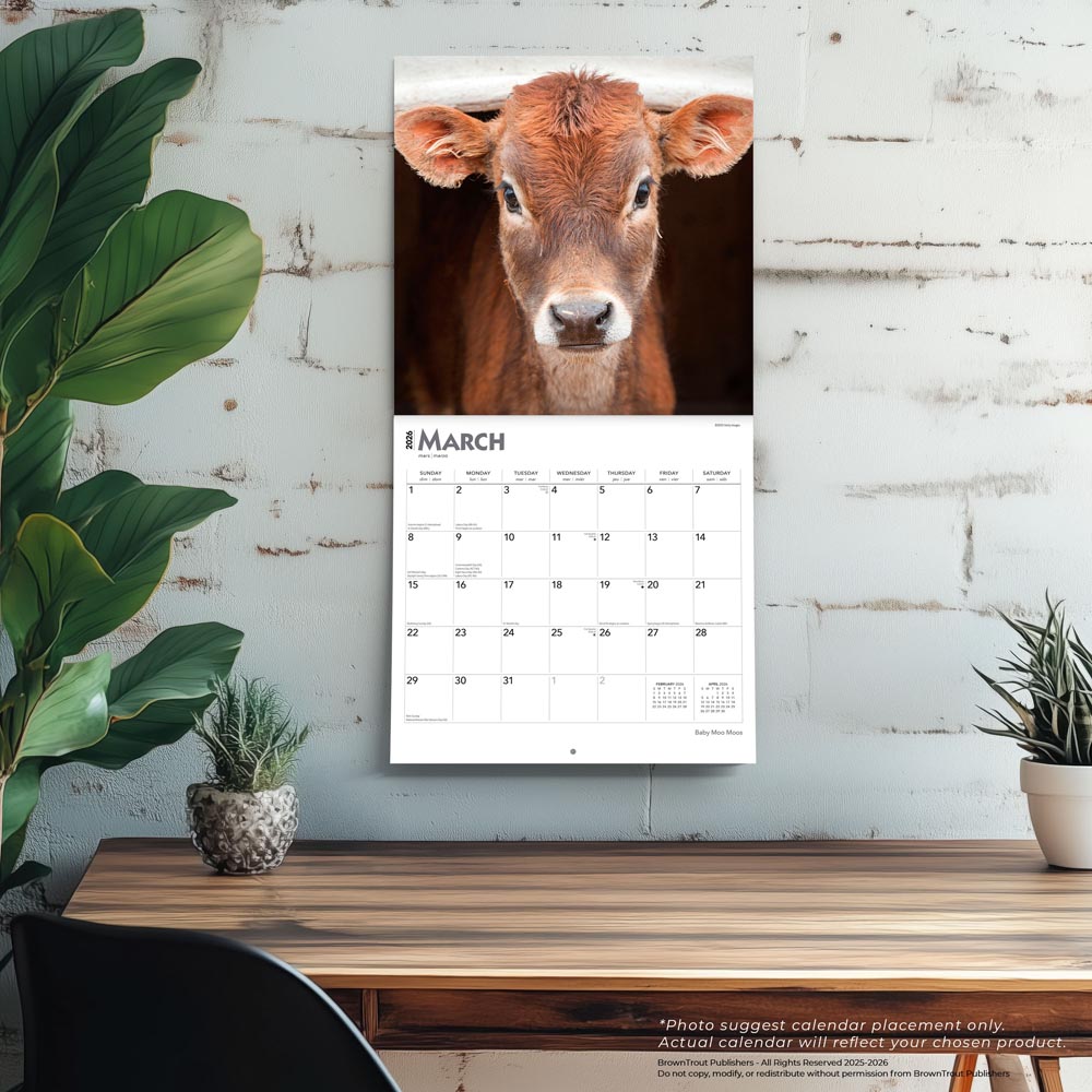 Baby Moo Moos | 2026 12 x 24 Inch (Hanging) Monthly Square Wall Calendar